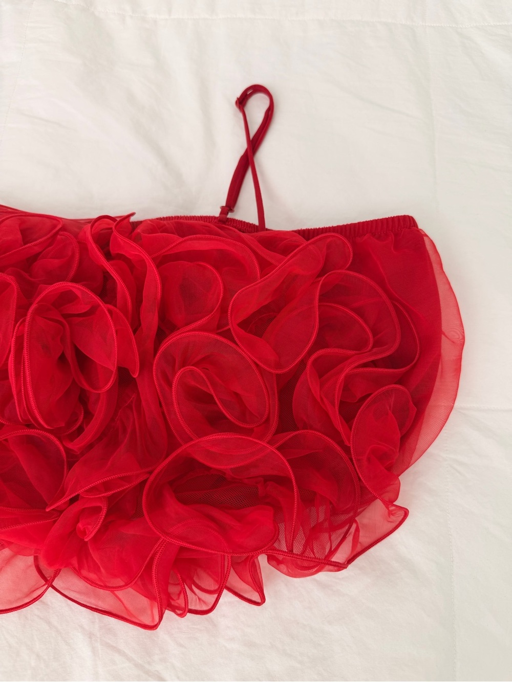 Source Unknown Red Ruffle Sheer Crop Top - Picture 4 of 4